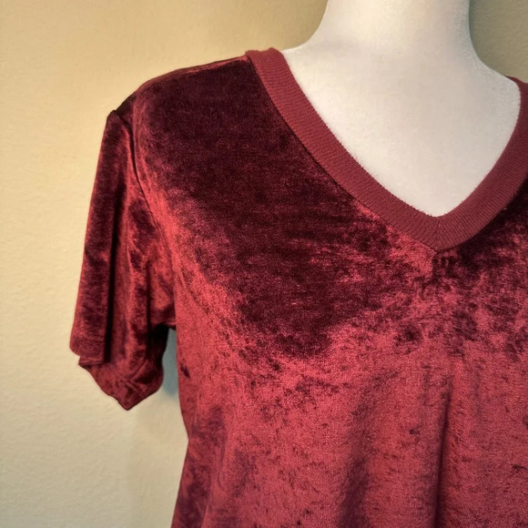 MICHAEL STARS Maroon Velvet or Velour V Neck T Shirt Top - size small - Picture 3 of 7